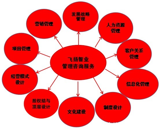 管理咨詢服務(wù)哪家強(qiáng)？深度解析信息咨詢領(lǐng)域的選擇策略